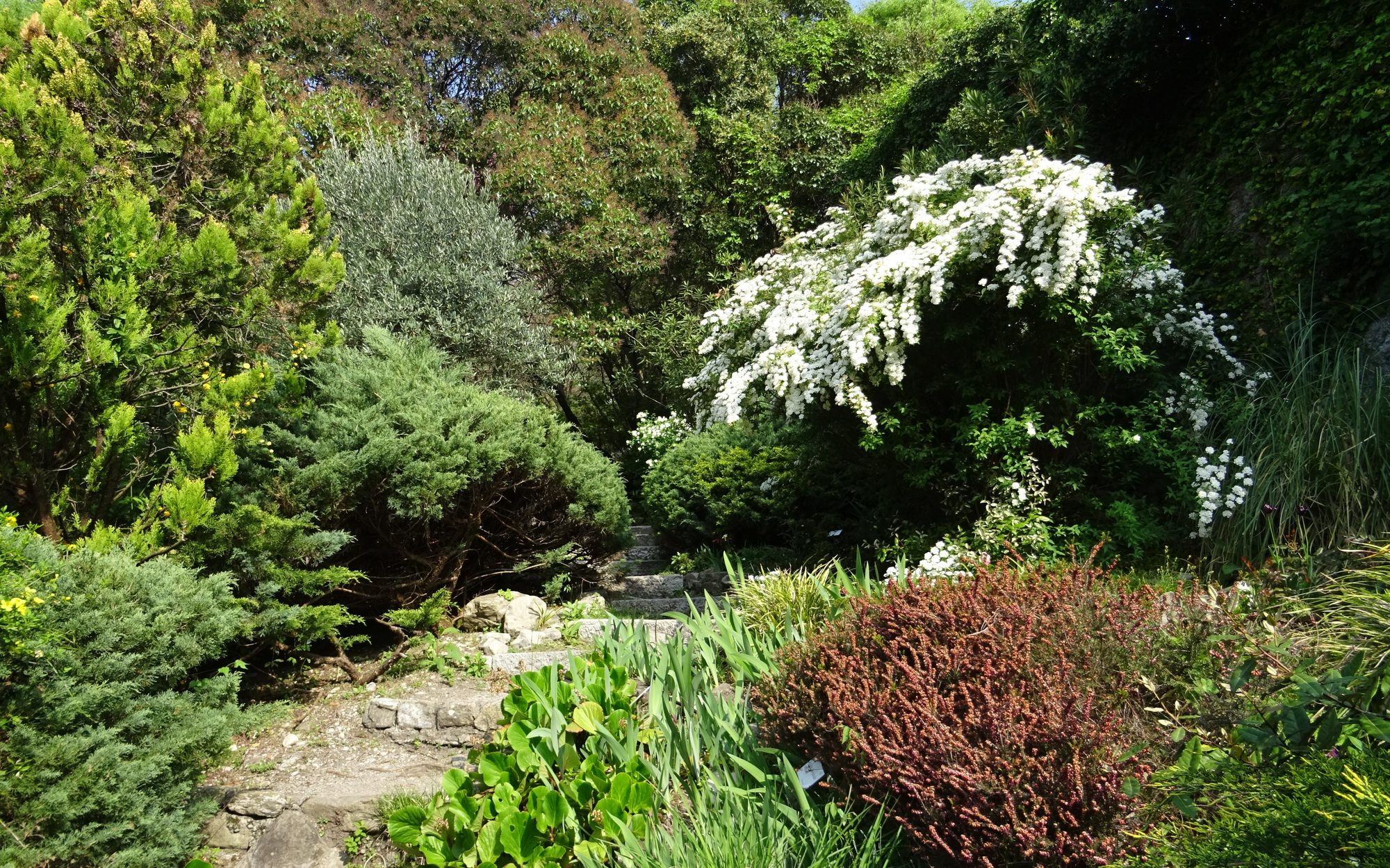 Il Giardino della Valle